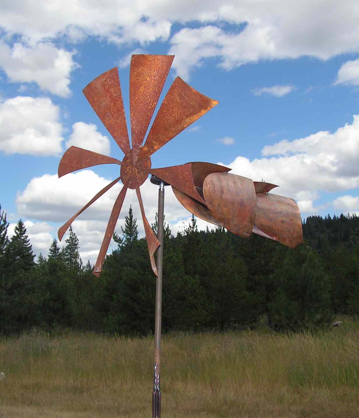 windmillfishscaletop2.JPG